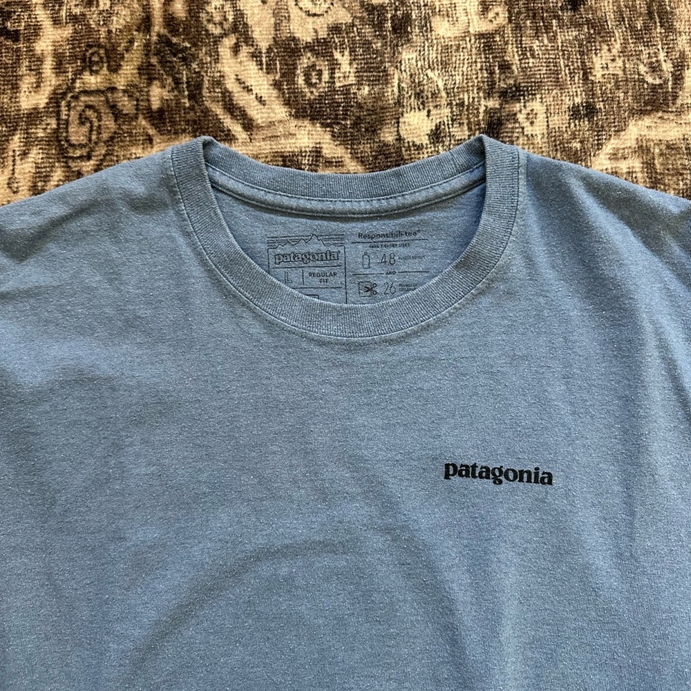 Patagonia Men's Slate Blue Tee